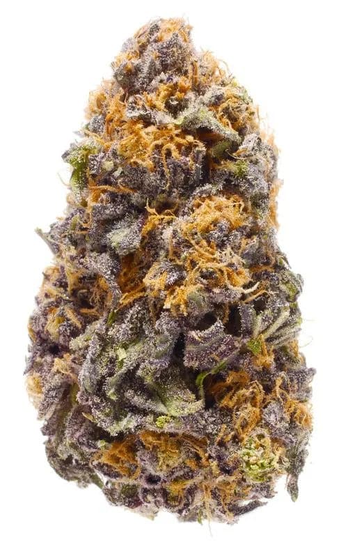 Buy granddaddy purple marijuana strain in Australia