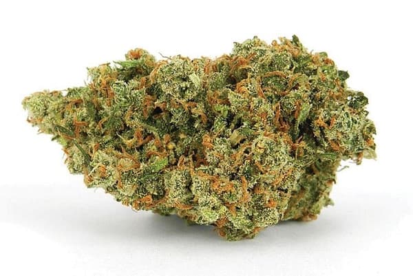 Buy Jack Herer marijuana strain online